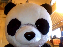 cdbear