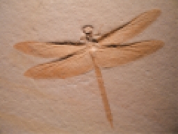 Hatshepsut