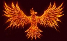 debator.phoenix