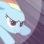 Rainbow Dash Appreciation Society