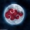 The Akatsuki